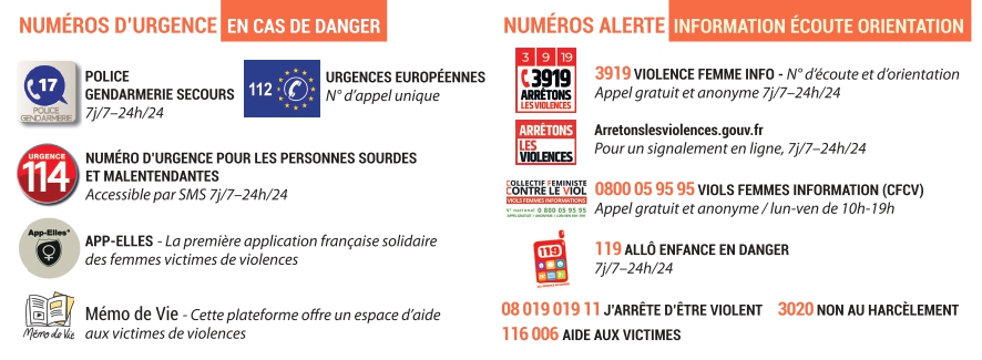 Carte_VIOLENCES_FEM_WEB_page-0002.jpg