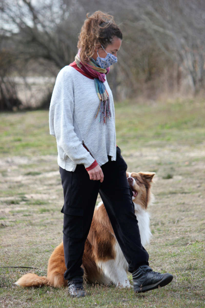 sports canins - 2.JPG