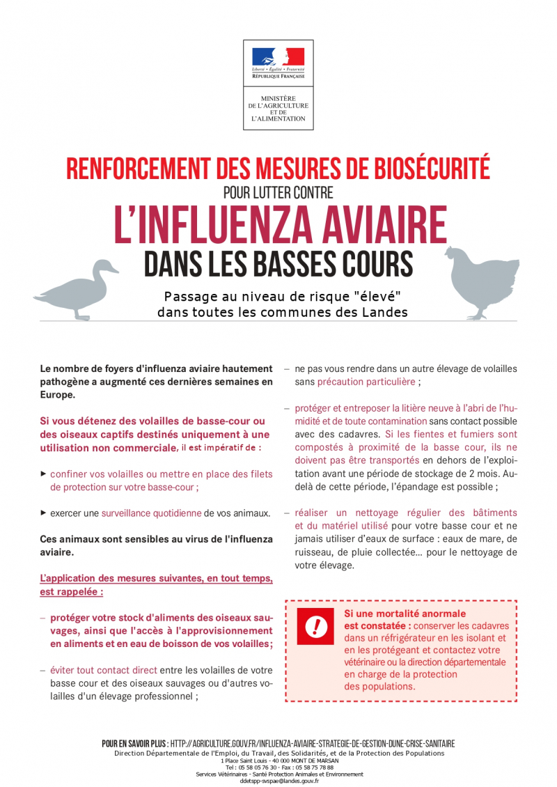 Fiche biosecurite_IA_Basses cours_Risque eleve_40_page-0001.jpg